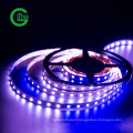 3years Warranty LED Light Strip SMD5050 RGBW 60LED DC24 Single Color Strip for Lighting Decoration